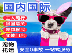 十堰武当山航空快运国际宠物托运 【国